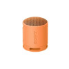 Sony Wireless Portable Speaker SRS-XB100